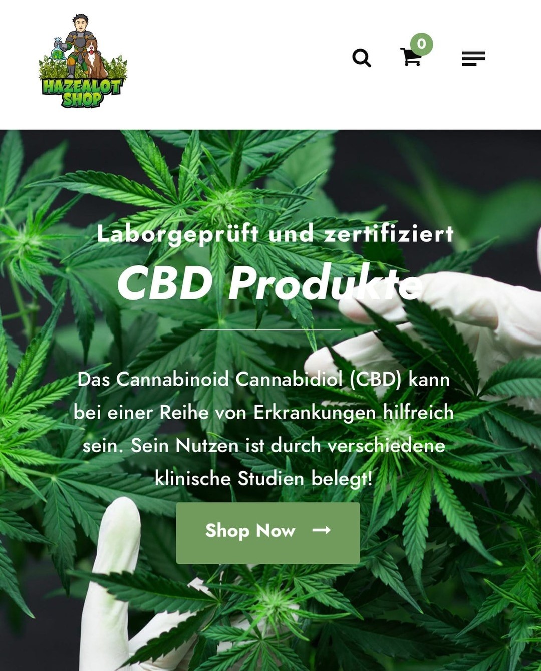 E-Commerce Lösung